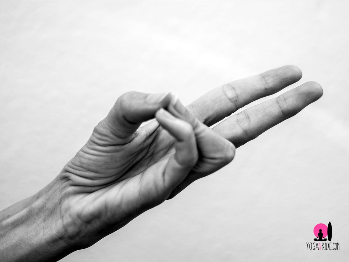 Pran mudra