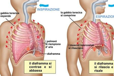 diaframma
