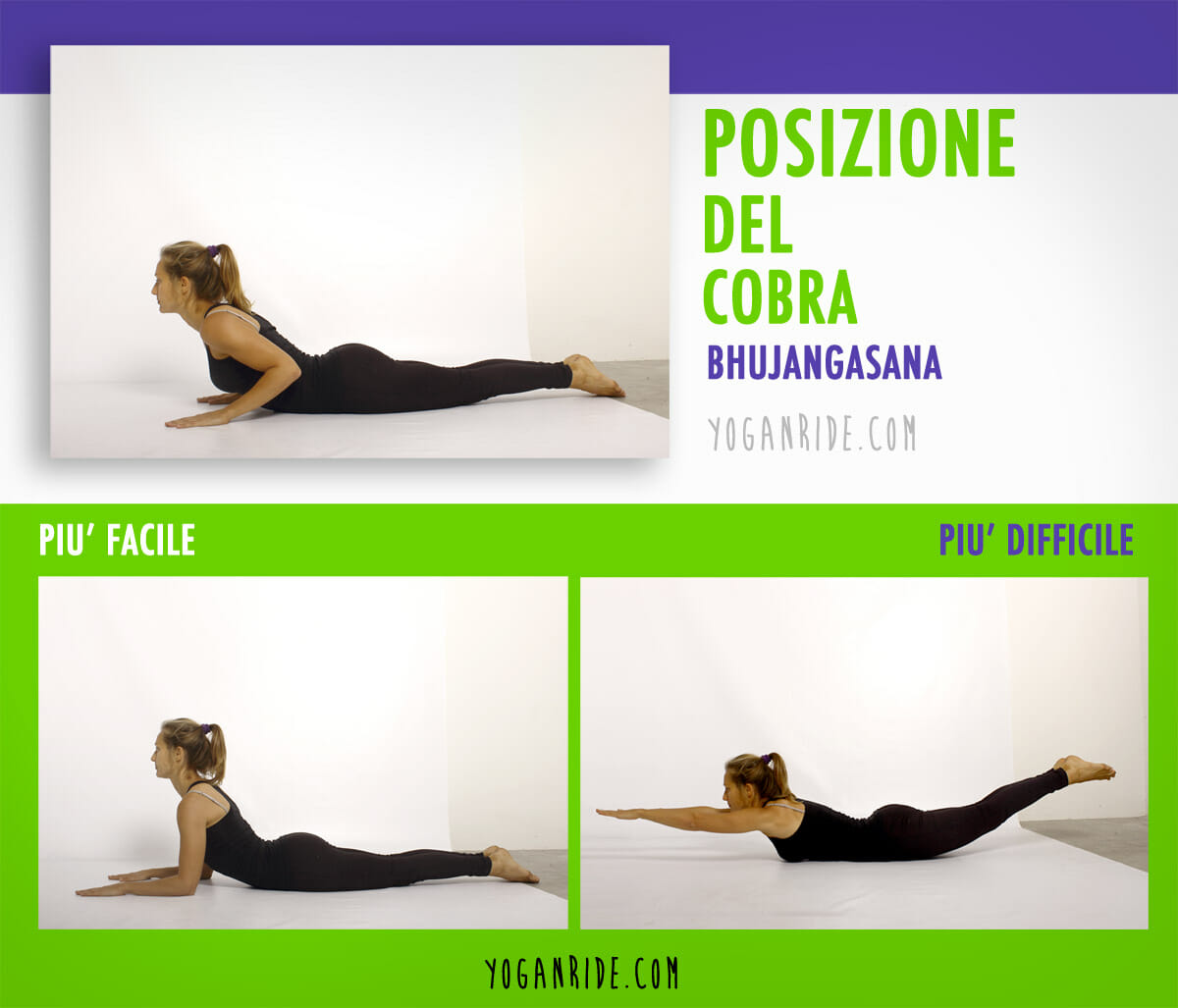 posizione-del-cobra-varianti