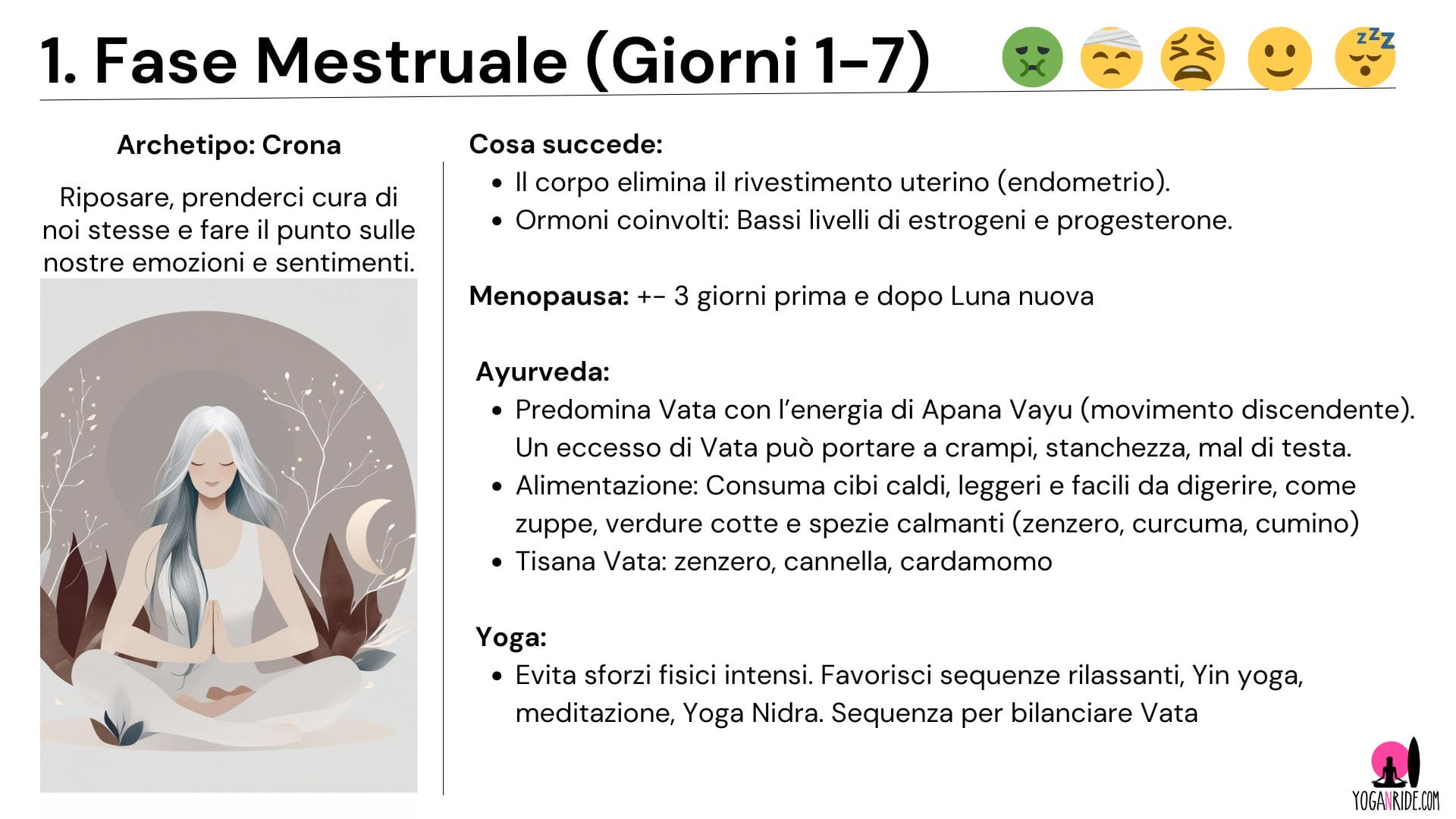 Fase Mestruale infografica