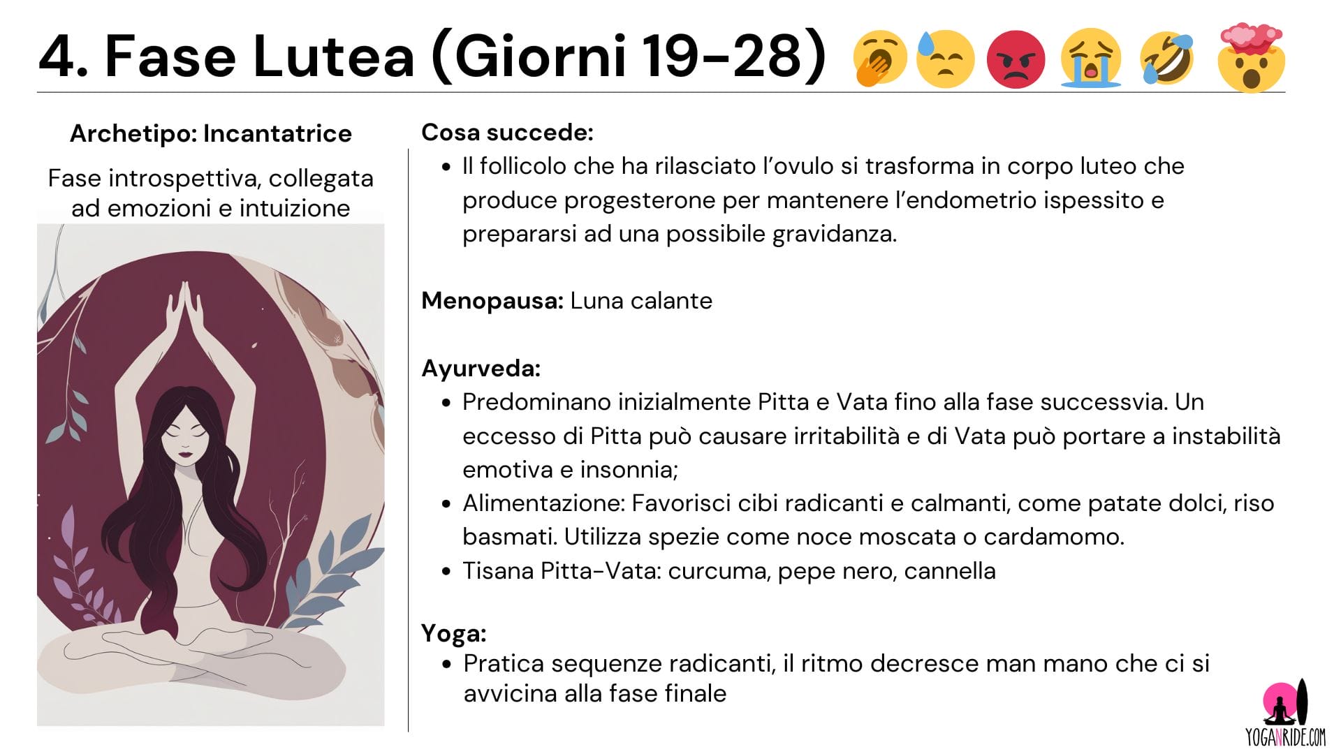 Fase Lutea infografica